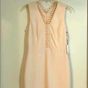Calvin Klein new with tags dress